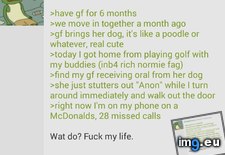 Tags: 4chan, anon (Pict. in My r/4CHAN favs)