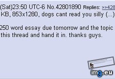Tags: 4chan, anon, schoolwork (Pict. in My r/4CHAN favs)
