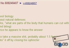 Tags: 4chan, anon, biology (Pict. in My r/4CHAN favs)