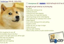 Tags: 4chan, anon, dog, night, ruined (Pict. in My r/4CHAN favs)