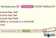 Tags: 4chan, anon, cocunuts, realizes (Pict. in My r/4CHAN favs)