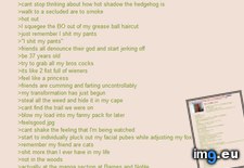 Tags: 4chan, anon, favorite, green, story, text (Pict. in My r/4CHAN favs)
