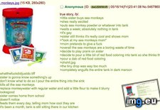Tags: 4chan, anon, buys, monkeys, sea, sister (Pict. in My r/4CHAN favs)