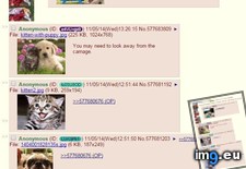 Tags: 4chan, anon, media, traumatizes (Pict. in My r/4CHAN favs)