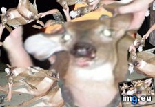 Tags: 4chan, anon, picture (Pict. in My r/4CHAN favs)