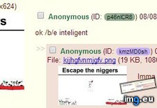 Tags: 4chan, anons, escape (Pict. in My r/4CHAN favs)