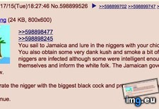 Tags: 4chan, island (Pict. in My r/4CHAN favs)