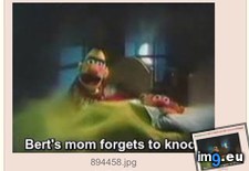 Tags: 4chan, sesame, street (Pict. in My r/4CHAN favs)