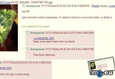 Tags: 4chan, marijuana, smokes (Pict. in My r/4CHAN favs)