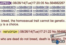 Tags: 4chan, choice, homosexuality, tard (Pict. in My r/4CHAN favs)
