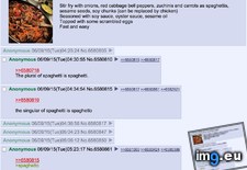 Tags: 4chan, discuss, spaghetti (Pict. in My r/4CHAN favs)