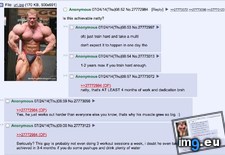 Tags: 4chan, advice, fit, gains, izens (Pict. in My r/4CHAN favs)