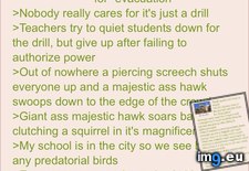 Tags: 4chan, ass, giant, hawk, magestic (Pict. in My r/4CHAN favs)