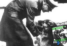 Tags: 4chan, birthday, dog, hitler (Pict. in My r/4CHAN favs)