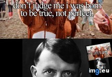 Tags: 4chan, edition, girly (Pict. in My r/4CHAN favs)