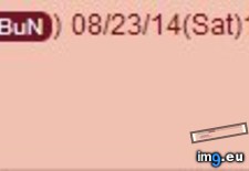 Tags: 4chan, average, daily (Pict. in My r/4CHAN favs)
