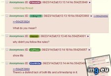 Tags: 4chan, average, daily (Pict. in My r/4CHAN favs)
