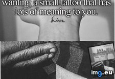 Tags: 4chan, album, collected, justgirlythings (Pict. in My r/4CHAN favs)