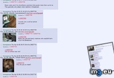 Tags: 4chan, bears, ommando, worried (Pict. in My r/4CHAN favs)