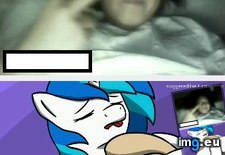 Tags: 4chan, mlp, omegle, porn, reactions (Pict. in My r/4CHAN favs)