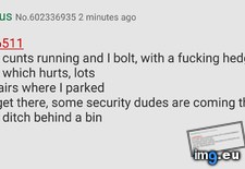Tags: 4chan, hedgehog (Pict. in My r/4CHAN favs)