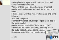 Tags: 4chan, hedgehog (Pict. in My r/4CHAN favs)