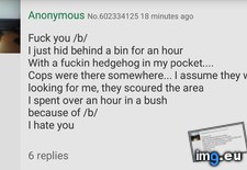 Tags: 4chan, hedgehog (Pict. in My r/4CHAN favs)