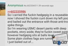 Tags: 4chan, hedgehog (Pict. in My r/4CHAN favs)