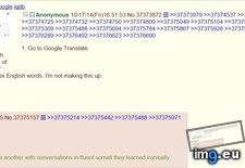 Tags: 4chan, discovers, google, pol, translate, wonders (Pict. in My r/4CHAN favs)