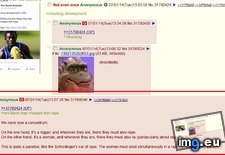Tags: 4chan, cat, pol, rape, schrodinger, theory (Pict. in My r/4CHAN favs)