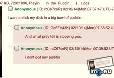 Tags: 4chan, puddin (Pict. in My r/4CHAN favs)