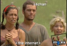 Tags: 4chan, internet (GIF in My r/4CHAN favs)