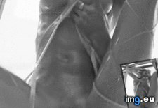 Tags: animated, gif (GIF in BigTitsGifs)