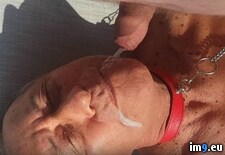 59-juscollier (#Gay #Fucking #Old #Fag #Faggot) - 82 KB Tags: fag, faggot, fucking, gay, old (Pict. in Soumiscam)