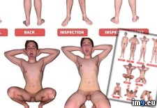 Tags:  (Pict. in Exposed Faggot Poses)