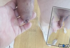 75-vuesexe (#Porn #Gay #Old #Faggot #Gayporn) - 114 KB Tags: faggot, gay, gayporn, old, porn (Pict. in Soumiscam)