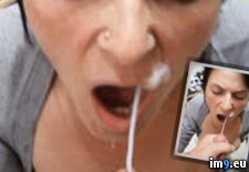 Tags:  (Pict. in Petz)