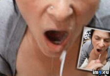 Tags:  (Pict. in Petz)