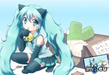 Tags: 1920x1080, animal, anime, catgirl, ears, hatsune, mani, miku, tail, thighhighs, vocaloid, wallpaper (Pict. in Anime Wallpapers 1920x1080 (HD manga))