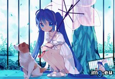 Tags: 1920x1080, amazawa, ani, blue, dog, dress, eyes, hair, hatsune, koma, long, miku, petals, summer, umbrella, vocaloid (Pict. in Anime Wallpapers 1920x1080 (HD manga))