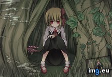 Tags: 1920x1080, anime, dress, eyes, mokubanoe, red, rumia, touhou, tree, wallpaper (Pict. in Anime Wallpapers 1920x1080 (HD manga))