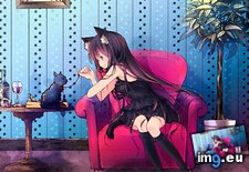 Tags: 1920x1080, animal, anime, blue, cat, catgirl, ears, eyes, hair, long, miya, original, sakurano, taifically, spo (Pict. in Anime Wallpapers 1920x1080 (HD manga))