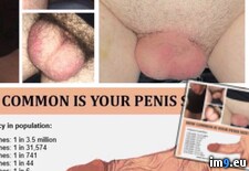 869F3872-F5C4-4400-9893-47833F47AA0D (#Exposed #Fag #Ray #Cumdump #Joseph) - 174 KB Tags: cumdump, dickless, exposed, fag, faggot, joseph, lee, ray (Pict. in Exposed Fag Joseph Ray Lee)
