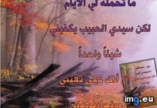 Tags: image (Pict. in Wadie 0)