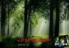 Tags: photo (Pict. in Wadie 0)