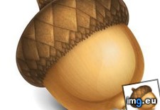 Tags: acorn256 (Pict. in KDE PasteBin)