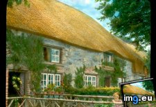 Tags: adare, child, front, house, roof, thatched (Pict. in Branson DeCou Stock Images)