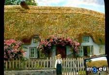 Tags: adare, boys, cottage, front, roof, thatched, two (Pict. in Branson DeCou Stock Images)