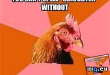 Tags: advice, animal, animals, answer, anti, any, chicken, insanity, joke, memes (Pict. in LOLCats, LOLDogs and cute animals)