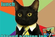 Tags: advice, animal, animals, any, business, cat, good, laser, memes, pointers (Pict. in LOLCats, LOLDogs and cute animals)